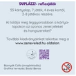 Duplázz! zenebolondoknak - zenei reflex- és kártyajáték