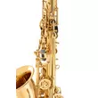 Roy Benson AS-201 altszaxofon egy felső F# kiegészítő billentyűvel