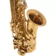 Roy Benson AS-202 altszaxofon arany lakkozással