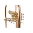 Bach FH-501 gold brass szárnykürt áttetsző lakkozással