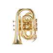 Roy Benson PT-101 zseb-trombita 2 db vízkieresztő billentyűvel