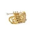 Roy Benson PT-101 zseb-trombita gold brass(aranyréz) befúvócsővel
