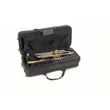 Roy Benson TR-202 B-trombita tokkal