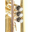 Roy Benson TR-101 sárgaréz, lakkozott B-trombita