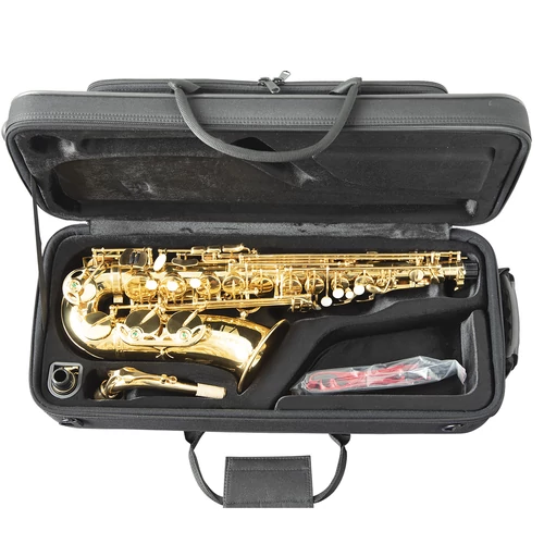 Trevor James The Horn sárgaréz altszaxofon hátra vehető, fekete tokkal