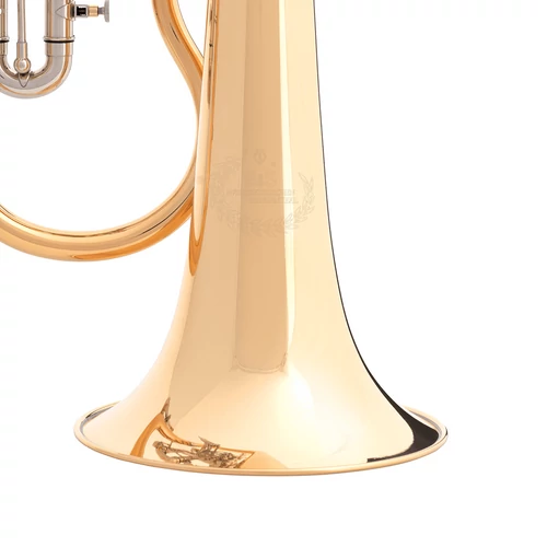 B&S 3017/2TR-L gold brass, lakkozott szárnykürt 