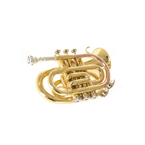 Roy Benson PT-101 zseb-trombita gold brass(aranyréz) befúvócsővel