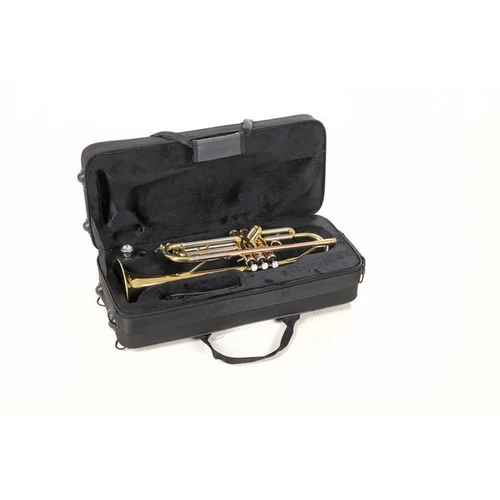 Roy Benson TR-202 B-trombita tokkal
