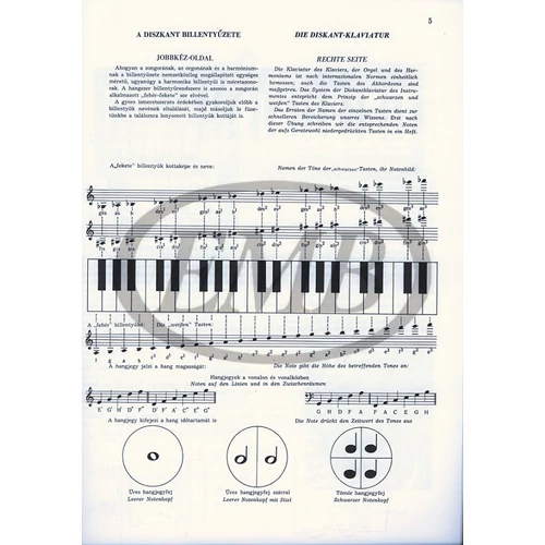 Bogár: Harmonikaiskola I
