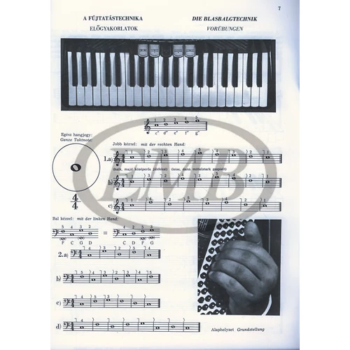Bogár: Harmonikaiskola I