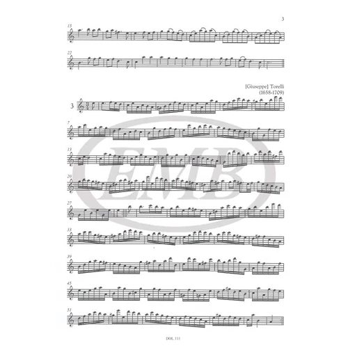 The Baroque Solo Book